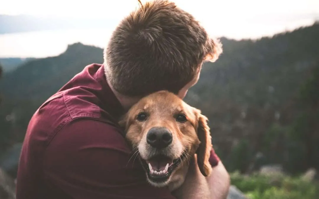 So, You Want to Go to Branson and Take Your Doggie With you?